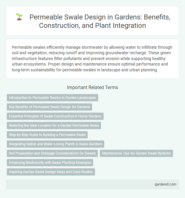 Permeable Swale Design in Gardens: Benefits, Construction, and Plant Integration
