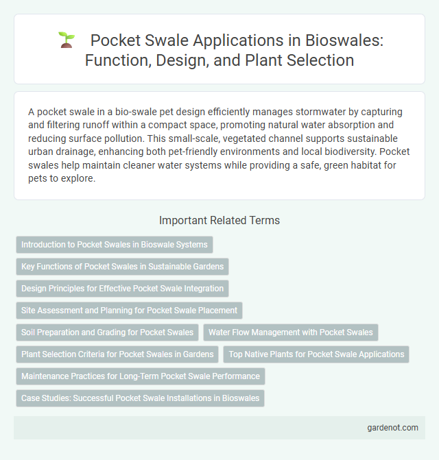 Pocket Swale Applications in Bioswales: Function, Design, and Plant Selection