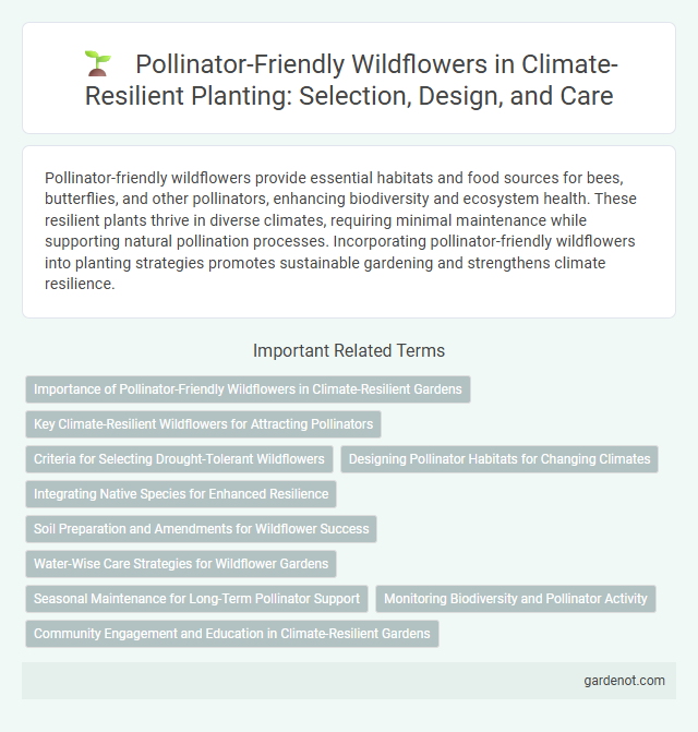 Pollinator-Friendly Wildflowers in Climate-Resilient Planting: Selection, Design, and Care