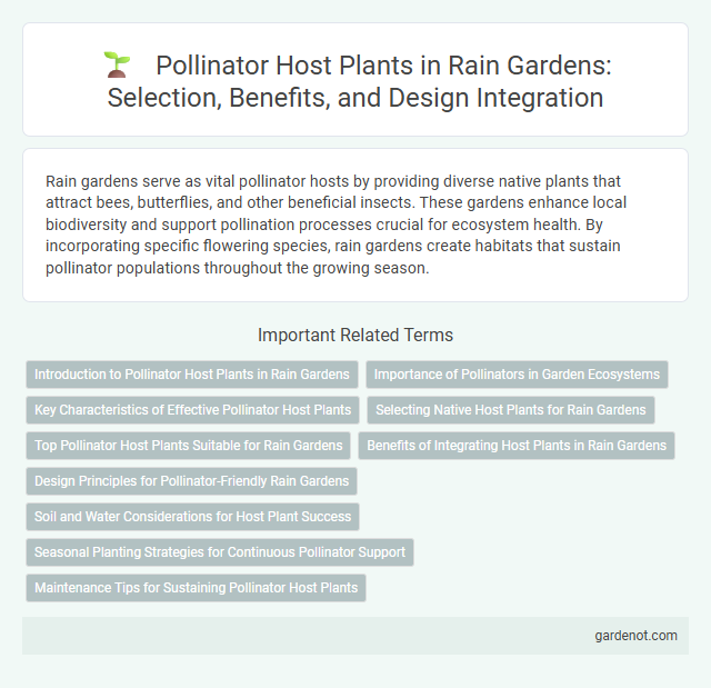 Pollinator Host Plants in Rain Gardens: Selection, Benefits, and Design Integration