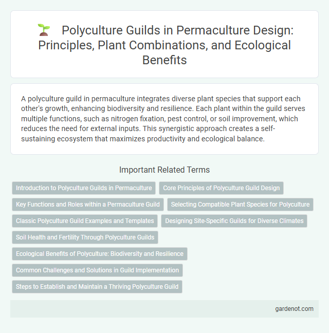Polyculture Guilds in Permaculture Design: Principles, Plant Combinations, and Ecological Benefits