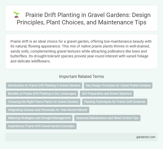 Prairie Drift Planting in Gravel Gardens: Design Principles, Plant Choices, and Maintenance Tips