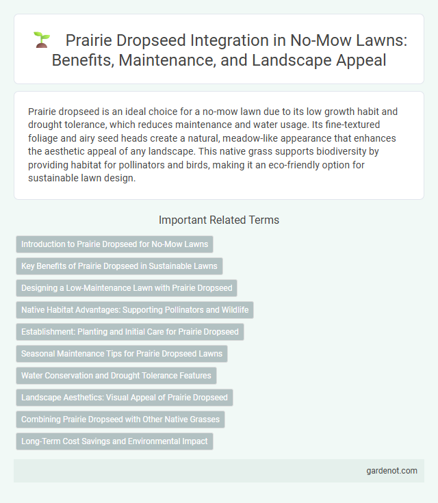 Prairie Dropseed Integration in No-Mow Lawns: Benefits, Maintenance, and Landscape Appeal