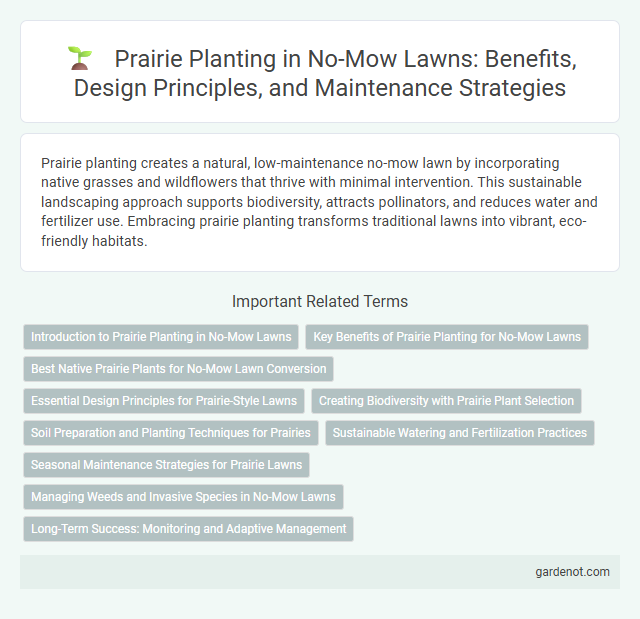 Prairie Planting in No-Mow Lawns: Benefits, Design Principles, and Maintenance Strategies
