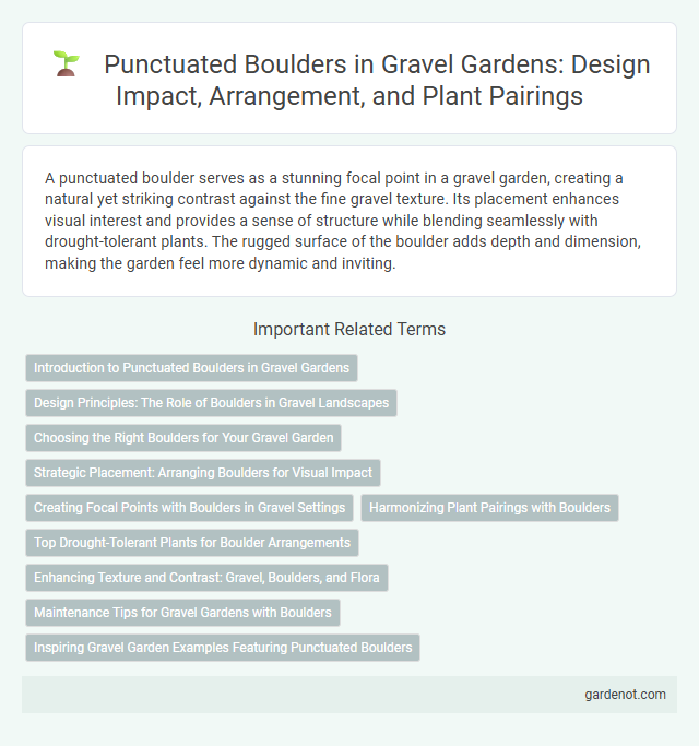Punctuated Boulders in Gravel Gardens: Design Impact, Arrangement, and Plant Pairings