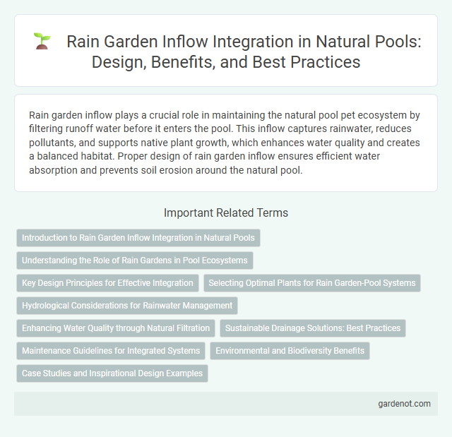 Rain Garden Inflow Integration in Natural Pools: Design, Benefits, and Best Practices