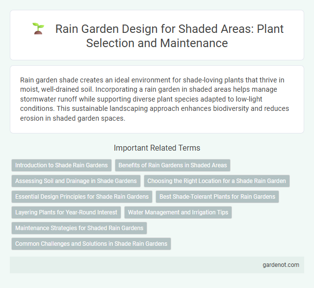 Rain Garden Design for Shaded Areas: Plant Selection and Maintenance