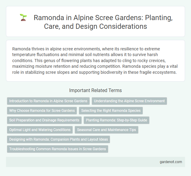 Ramonda in Alpine Scree Gardens: Planting, Care, and Design Considerations