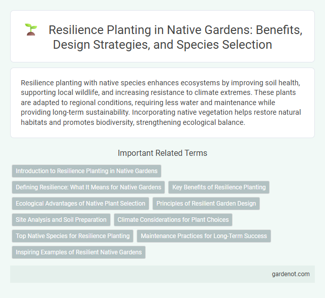 Resilience Planting in Native Gardens: Benefits, Design Strategies, and Species Selection