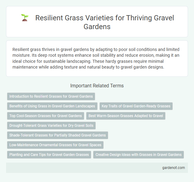Resilient Grass Varieties for Thriving Gravel Gardens