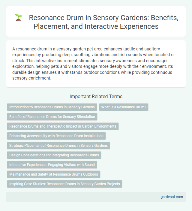 Resonance Drum in Sensory Gardens: Benefits, Placement, and Interactive Experiences