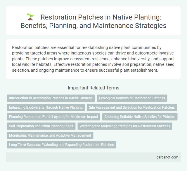 Restoration Patches in Native Planting: Benefits, Planning, and Maintenance Strategies