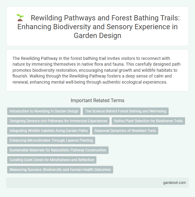 Rewilding Pathways and Forest Bathing Trails: Enhancing Biodiversity and Sensory Experience in Garden Design