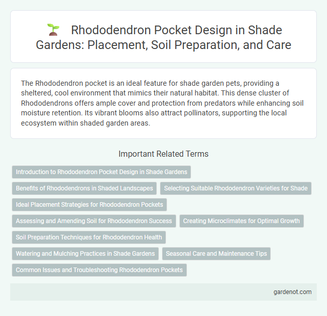 Rhododendron Pocket Design in Shade Gardens: Placement, Soil Preparation, and Care