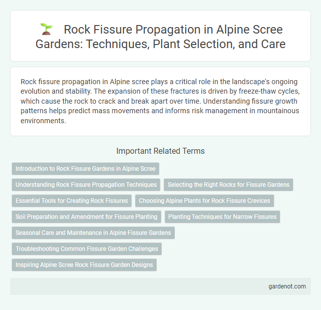 Rock Fissure Propagation in Alpine Scree Gardens: Techniques, Plant Selection, and Care