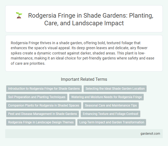 Rodgersia Fringe in Shade Gardens: Planting, Care, and Landscape Impact