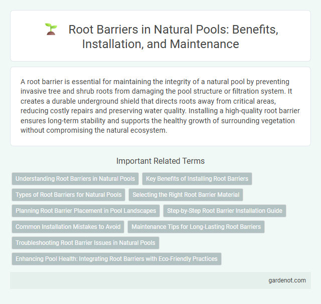 Root Barriers in Natural Pools: Benefits, Installation, and Maintenance