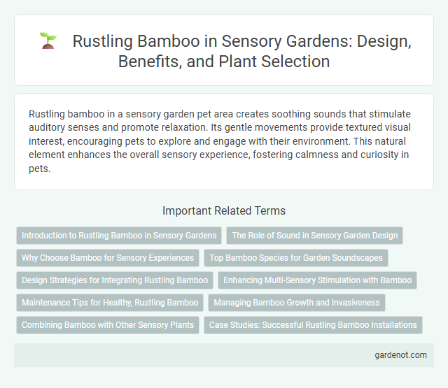 Rustling Bamboo in Sensory Gardens: Design, Benefits, and Plant Selection