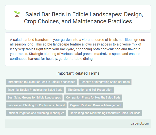 Salad Bar Beds in Edible Landscapes: Design, Crop Choices, and Maintenance Practices