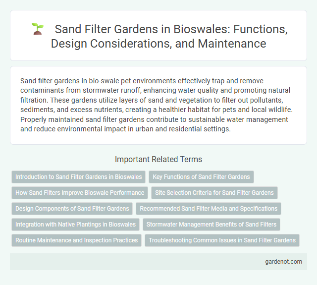 Sand Filter Gardens in Bioswales: Functions, Design Considerations, and Maintenance