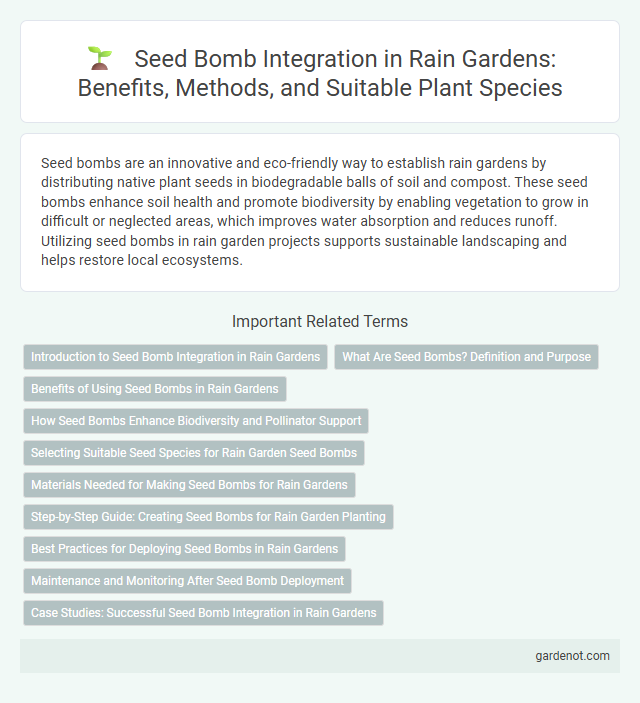 Seed Bomb Integration in Rain Gardens: Benefits, Methods, and Suitable Plant Species