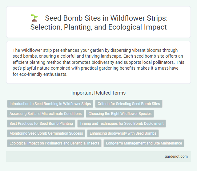 Seed Bomb Sites in Wildflower Strips: Selection, Planting, and Ecological Impact