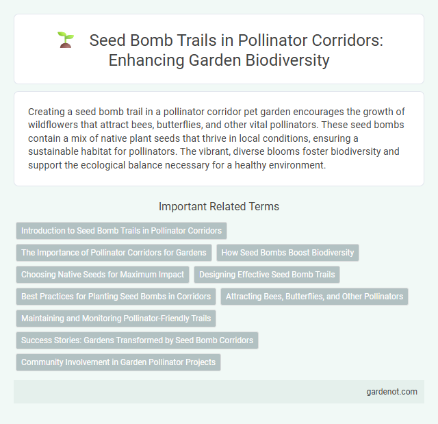 Seed Bomb Trails in Pollinator Corridors: Enhancing Garden Biodiversity