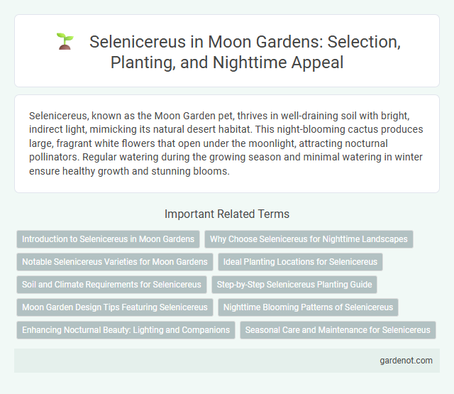Selenicereus in Moon Gardens: Selection, Planting, and Nighttime Appeal