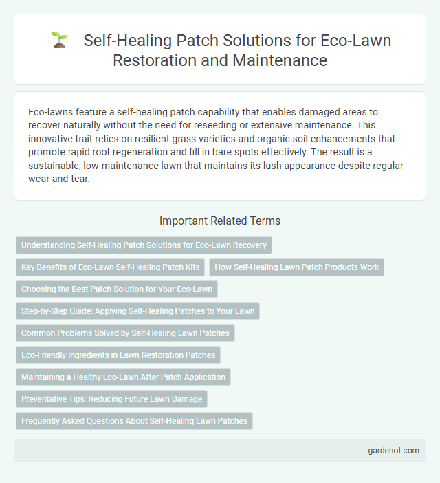 Self-Healing Patch Solutions for Eco-Lawn Restoration and Maintenance