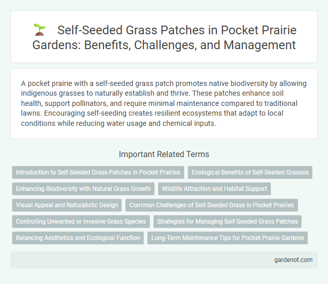 Self-Seeded Grass Patches in Pocket Prairie Gardens: Benefits, Challenges, and Management