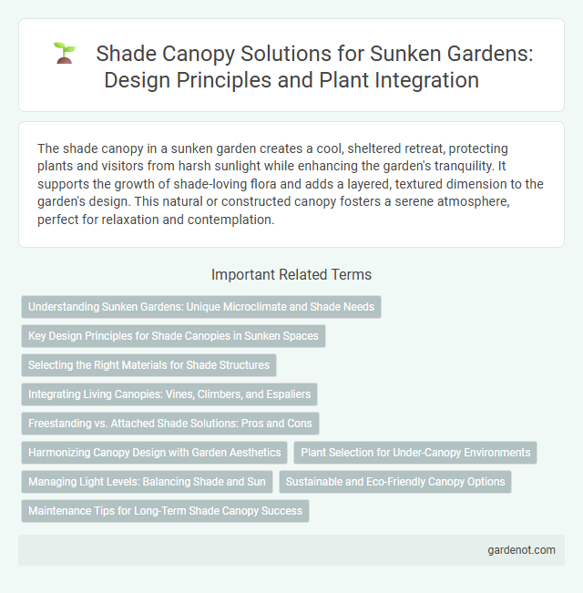 Shade Canopy Solutions for Sunken Gardens: Design Principles and Plant Integration