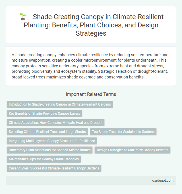 Shade-Creating Canopy in Climate-Resilient Planting: Benefits, Plant Choices, and Design Strategies