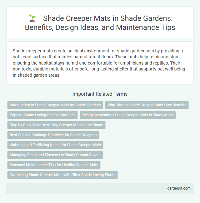 Shade Creeper Mats in Shade Gardens: Benefits, Design Ideas, and Maintenance Tips