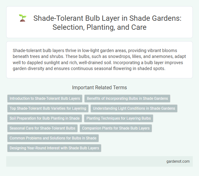 Shade-Tolerant Bulb Layer in Shade Gardens: Selection, Planting, and Care