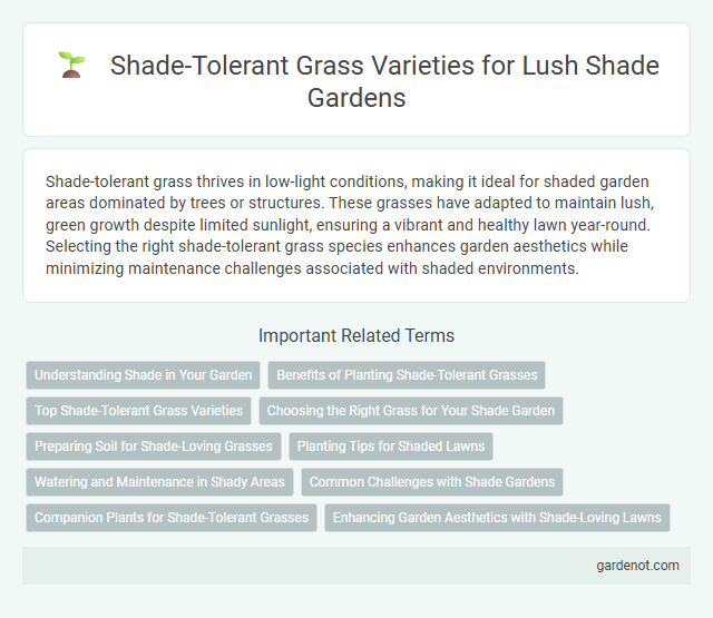 Shade-Tolerant Grass Varieties for Lush Shade Gardens