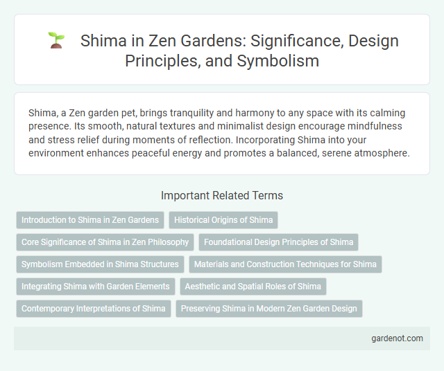 Shima in Zen Gardens: Significance, Design Principles, and Symbolism