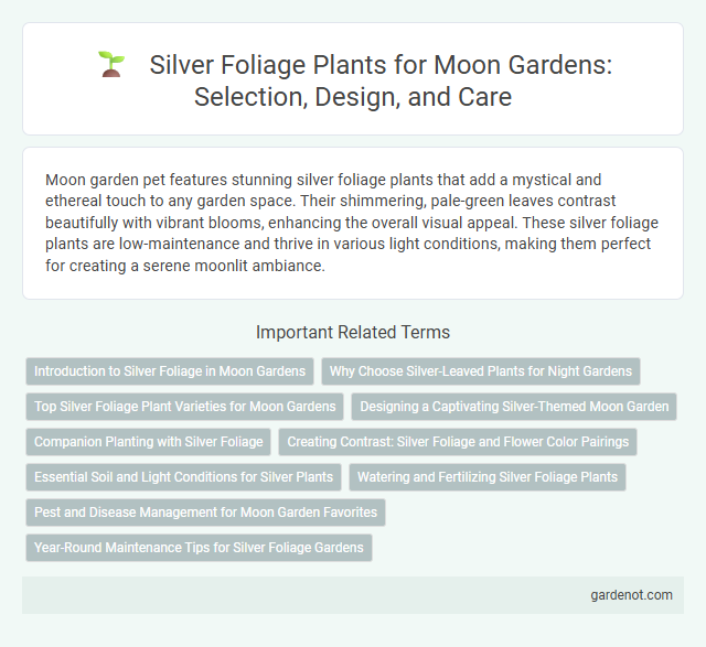 Silver Foliage Plants for Moon Gardens: Selection, Design, and Care