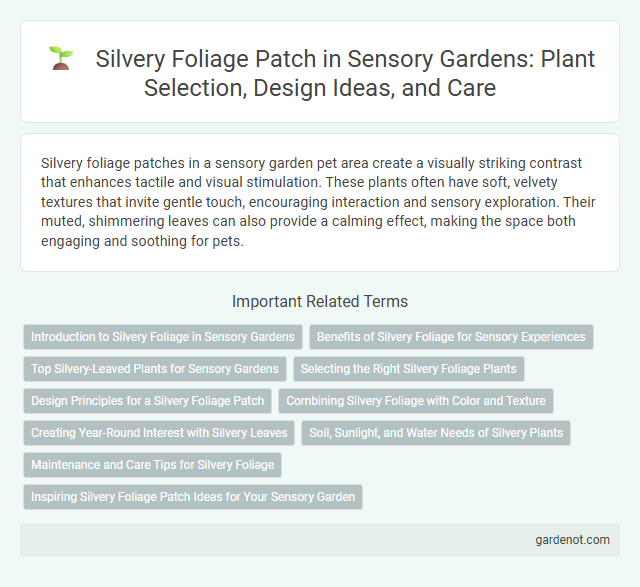 Silvery Foliage Patch in Sensory Gardens: Plant Selection, Design Ideas, and Care