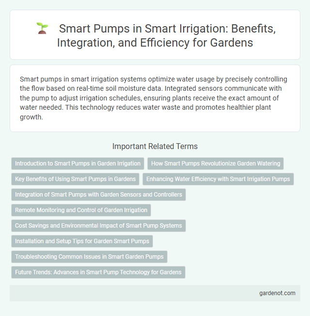 Smart Pumps in Smart Irrigation: Benefits, Integration, and Efficiency for Gardens