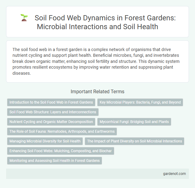 Soil Food Web Dynamics in Forest Gardens: Microbial Interactions and Soil Health