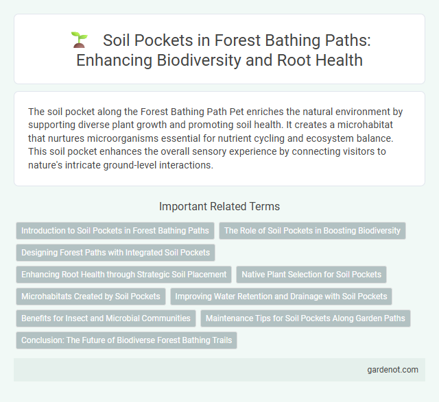 Soil Pockets in Forest Bathing Paths: Enhancing Biodiversity and Root Health