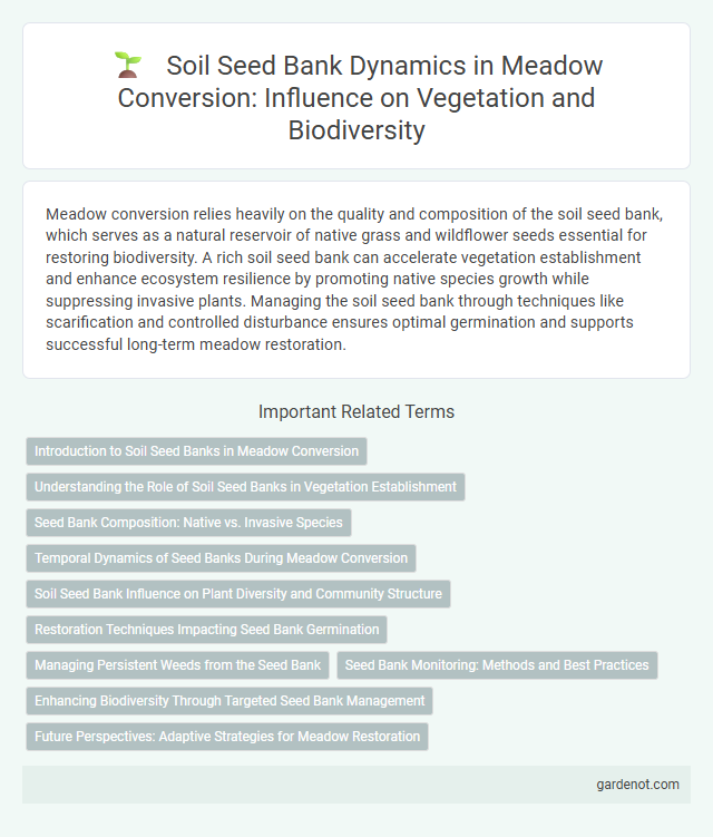 Soil Seed Bank Dynamics in Meadow Conversion: Influence on Vegetation and Biodiversity