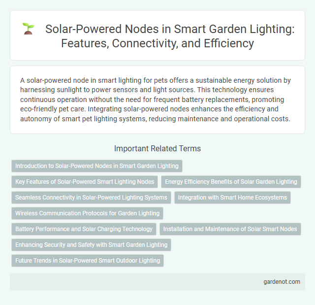 Solar-Powered Nodes in Smart Garden Lighting: Features, Connectivity, and Efficiency
