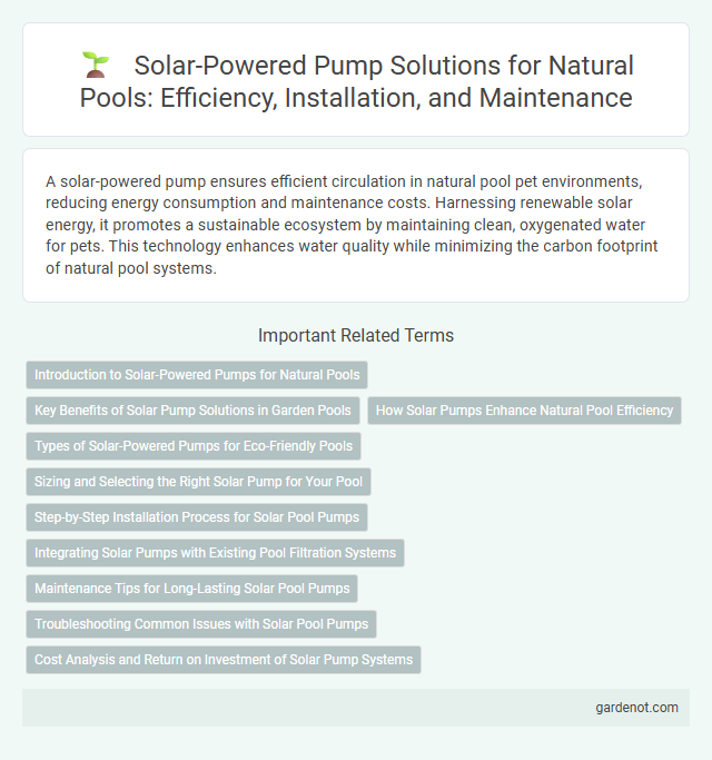 Solar-Powered Pump Solutions for Natural Pools: Efficiency, Installation, and Maintenance