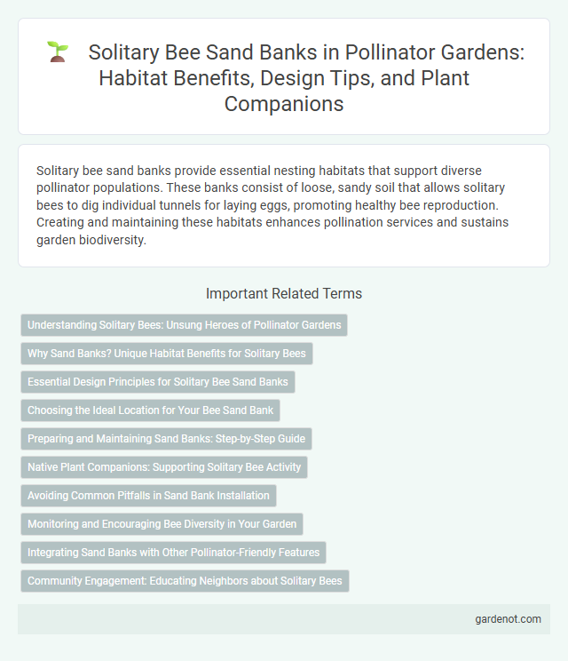 Solitary Bee Sand Banks in Pollinator Gardens: Habitat Benefits, Design Tips, and Plant Companions