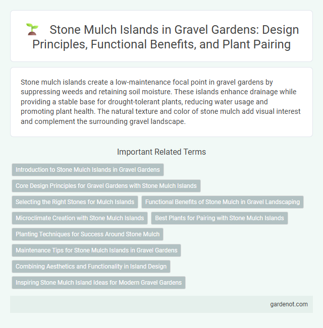 Stone Mulch Islands in Gravel Gardens: Design Principles, Functional Benefits, and Plant Pairing