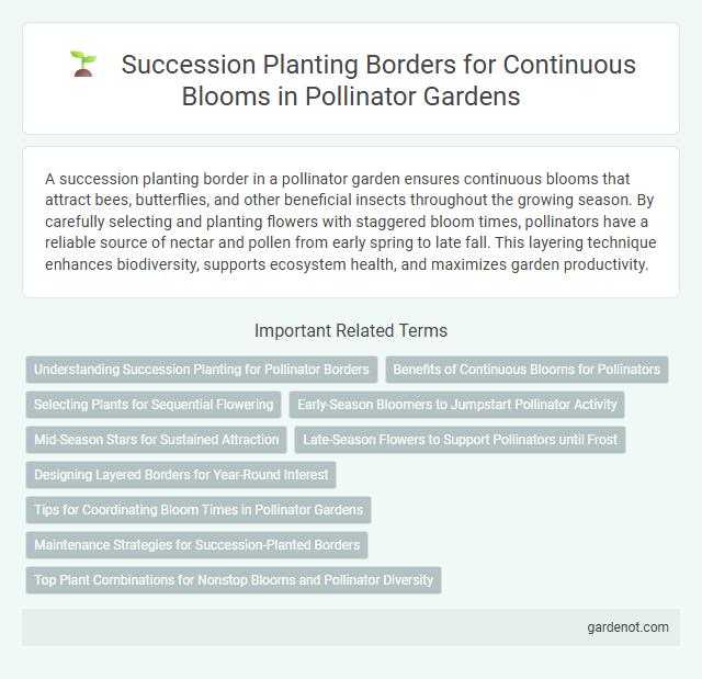 Succession Planting Borders for Continuous Blooms in Pollinator Gardens