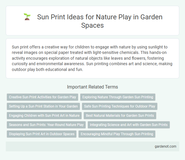 Sun Print Ideas for Nature Play in Garden Spaces