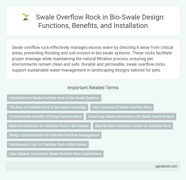 Swale Overflow Rock in Bio-Swale Design: Functions, Benefits, and Installation