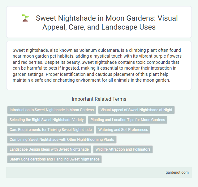 Sweet Nightshade in Moon Gardens: Visual Appeal, Care, and Landscape Uses